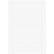 Ringbucheinlage Lineatur 27